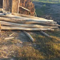 چوب گرد و پنجره اهنی|مصالح و تجهیزات ساختمان|گرمادوز, |دیوار