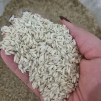 برنج درجه یک و عالی میداوود
