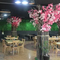 ظرفشور جهت کار در آشپزخانه