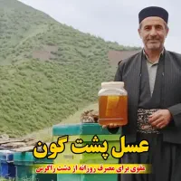 عسل گیاهان وحشی زاگرس (1 کیلوگرم)،ارسال فوری