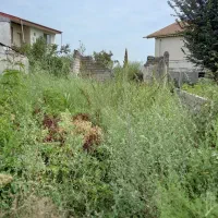 ۲۵۰مترزمین مسکونی باسند همراه با امتیازآب.برق.گاز|فروش زمین و ملک کلنگی|رودسر, |دیوار