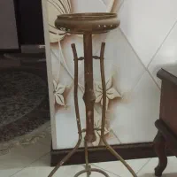 گل طبیعی و گلدان و پایه گل|گل و گیاه طبیعی|مشهد, هنرور|دیوار