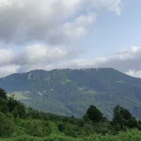 خریدار وام ازدواج و وام ۴درصد