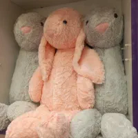 عروسک خرگوش جیلی کت