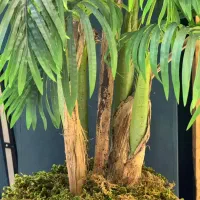 بورس انواع شکوفه و درختچه های وارداتی|گل مصنوعی|اهواز, گلستان|دیوار