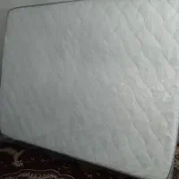 تشک تبی 10ساله