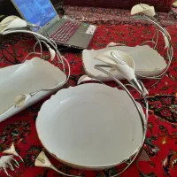 سرویس پذیرایی گل برجسته