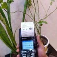 «فروش ویژه کارتخوان سیار/کشلس|فروشگاه و مغازه|بندرعباس, |دیوار