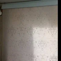 پرده زبرا