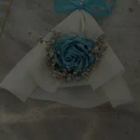 گل جاودان روبانی