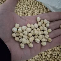 نخود ترکیه بوجاری شده