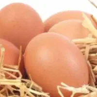 تخم مرغ درشت محلی دارم