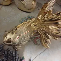 ماهی طلایی