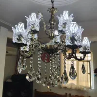 لوستربرنج، ده شاخه