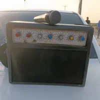 آمپلی اکو دار