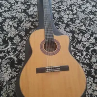 گیتار حرفه ای a48ce