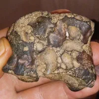 2عدد شهاب سنگ مریخی با چگالی 3/7و4/1