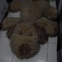 سگ روتختی تواتاقی جنس قابل شستشو