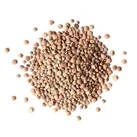 عدس ریز خوش پخت