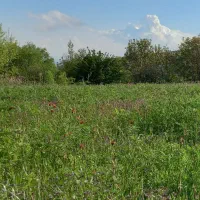 حراج واقعی اردبیل نمین میرزانق|حراج|اردبیل, |دیوار