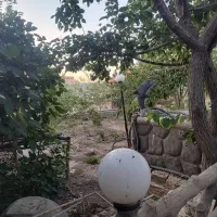 باغ ۱۵۰۰ متری کبوتر آباد|فروش زمین و ملک کلنگی|اصفهان, بهارستان|دیوار