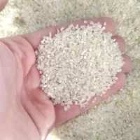 خرده برنج و برنج نو کامفیروزی مستقیم از کشاورز|خوردنی و آشامیدنی|شیراز, پانصد دستگاه ارتش|دیوار