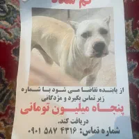 رفته بیرون از خونه