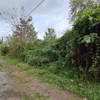 فروش-زمین-کتشال-لاهیجان