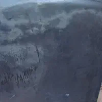 در کاپوت ۴۰۵