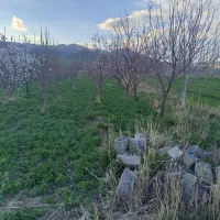 فروش-باغ-مزروعی
