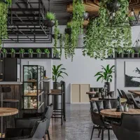 مشارکت در راه اندازی