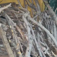فروشنده انواع چوب های جنگلی و تنه درخت . درکهریزک