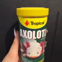 غذای اکسلوتل ماهی غذای ماهی چانا فلاور