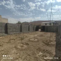 باغ و باغچه