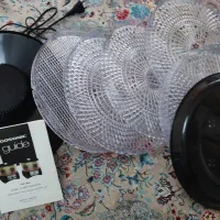 میوه خشک کن گاسونیک