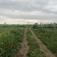 فروش ملک در میدان امام حسین