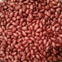 لوبیا قرمز|خوردنی و آشامیدنی|موچش, |دیوار