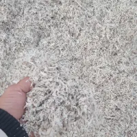 تفاله چغندر