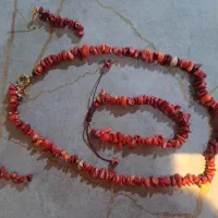 سرویس سنگ مرجان