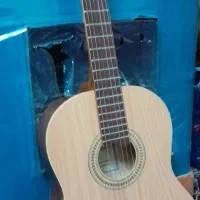 گیتار نو نو|گیتار، بیس، امپلیفایر|اقبالیه, |دیوار