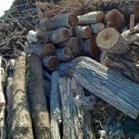 چوب بری|خدمات باغبانی و درختکاری|فلاورجان, |دیوار