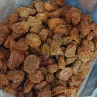 الوبخارا بوانات|خوردنی و آشامیدنی|شیراز, مسلم|دیوار
