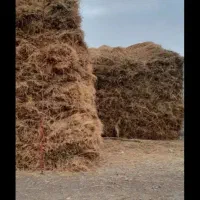 فروش یونجه ۲۰۰ خلور
