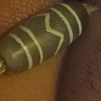 مهره باستانی و قدیمی