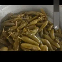 خیارشورترد