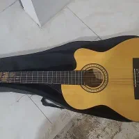 گیتار پائوچیا