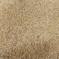 ارزن