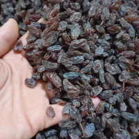 کشمش انگور قرمز کشمش بیدانه|خوردنی و آشامیدنی|ارومیه, |دیوار