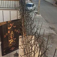 حفاظ شاخ گوزنی نرده دزدگیر    (کرج کردان چهارباغ)