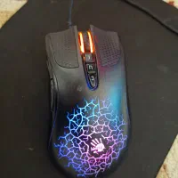 موس کامپیوتر|قطعات و لوازم جانبی رایانه|کنارک, |دیوار